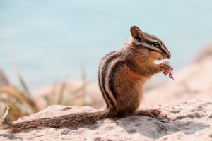 Read more about the article 검증 없는 카지노의 위험성 알아보자