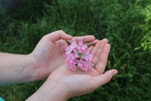 Read more about the article 보증업체 선택으로 돈을 지키는 방법 알아보자
