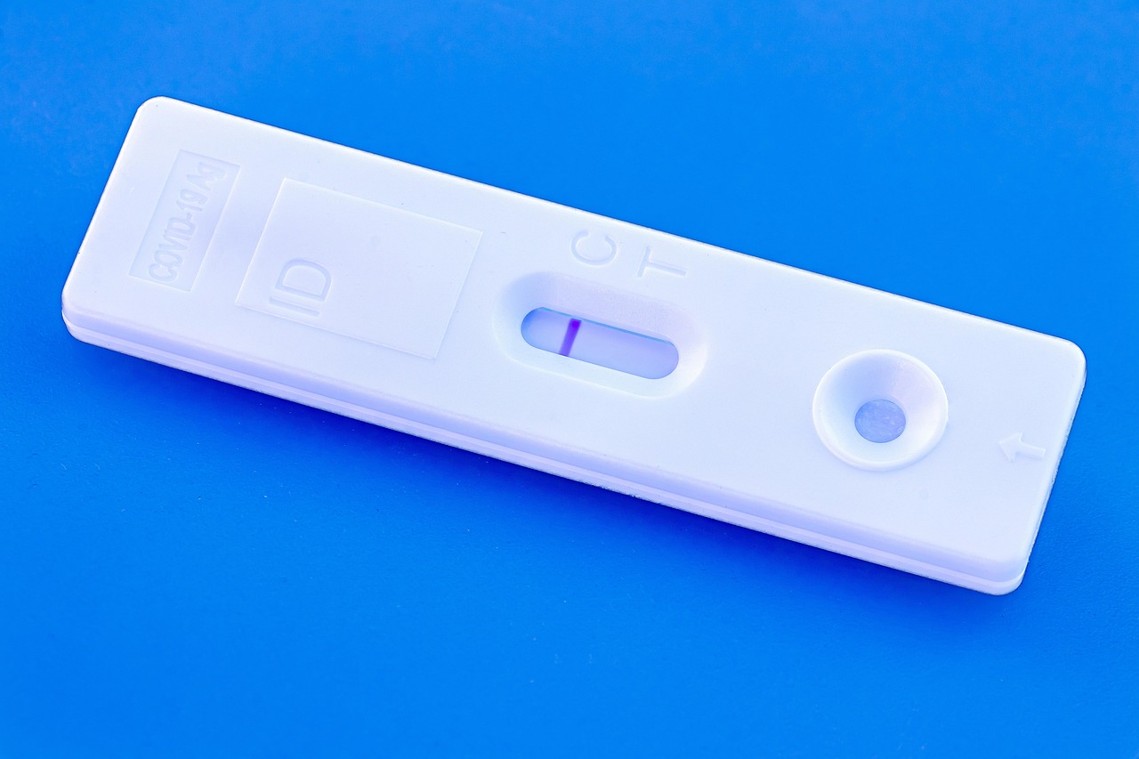 먹튀제보 토토사이트 안전성 테스트 결과