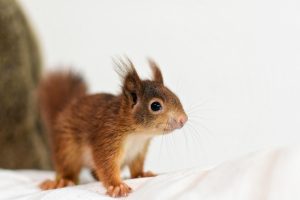 Read more about the article 검증 없는 카지노는 함정입니다