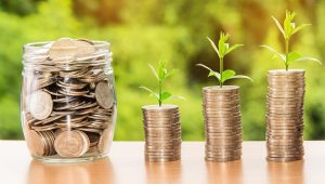 Read more about the article 먹튀제보와 토토사이트 보증업체의 성공적인 협업 사례 살펴보기