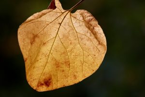 Read more about the article 안전한 먹튀제보 토토사이트 선택하는 방법 알아보자