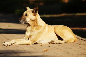Read more about the article 먹튀제보 토토사이트 피해를 예방하는 꿀팁