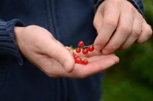 Read more about the article 먹튀제보 토토사이트 피해를 막는 4가지 필수 팁