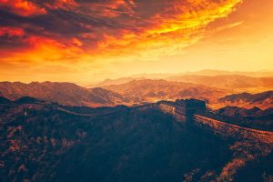 Read more about the article 먹튀제보로 베팅 안전성 높이는 방법 알아보자
