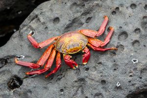 Read more about the article 안전놀이터는 만들어지는 게 아니라 검증되는 겁니다