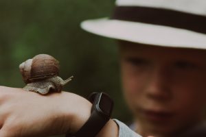 Read more about the article 먹튀제보로 피해자 공동 대응하는 방법 알아보자