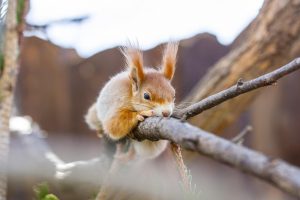 Read more about the article 먹튀제보 사이트 검증하는 방법 알아보자